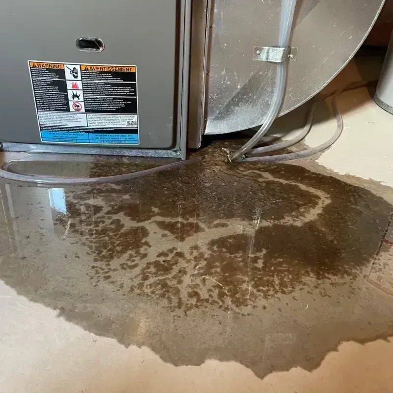 Appliance Leak Cleanup in Hennepin, IL